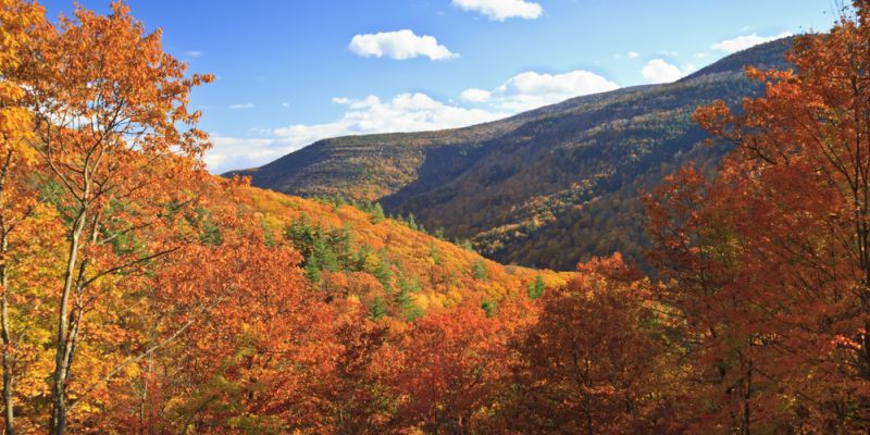Where to See the Best Fall Foliage in the Catskills